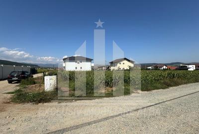 Teren intravilan | De vanzare | 5000 mp | 150 ml deschidere | Micesti - 1