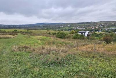 Teren Construcții intravilan de 2876 mp, în Borhanci