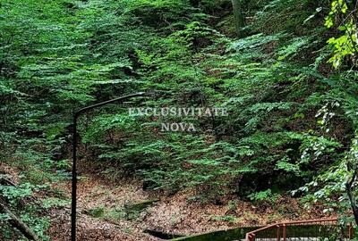 0% Vanzare teren si constructie Locatie de exceptie Calimanesti Calea lui Traian - 8