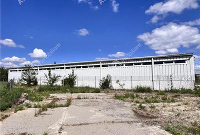 Hala de 918 mp utili si teren de 2400 mp cu acces de tir in Talmaciu - 9
