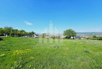 Teren intravilan | De vanzare | 3000 mp | 85 ml deschidere | Micesti - 4