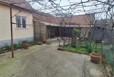 Bocsa Vasiova, Casa cocheta pentru familie, cu Gradina. - 16