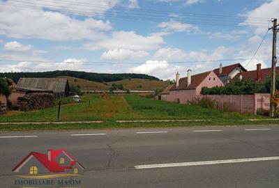 Imobiliare Maxim - teren intravilan - 3