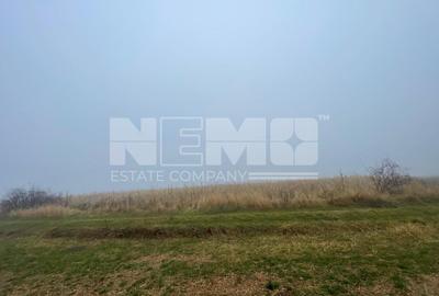 TEREN EXTRAVILAN | DOUA PARCELE 2.84 HA| DARMANESTI - 3