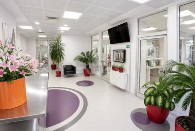 Spațiu comercial, de 224.00 mp, în Moșilor