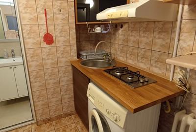 Garsoniera spatioasa la vila  zona Rahova  Carrefour Alexandriei Buc sector 5 - 3