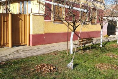 Casa 5 camere cu teren generos in Seitin judetul Arad - 20