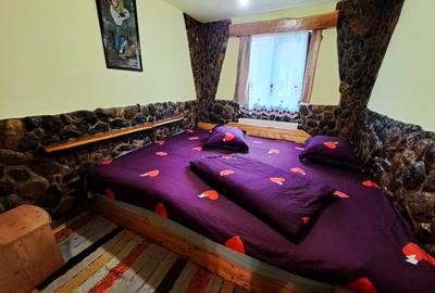 Cabana / Pensiune 9 dormitoare de vanzare, Valea Ierii,  Cluj - 8