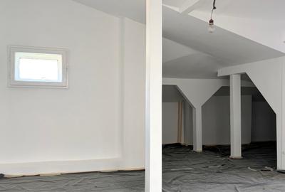 VILA INTERBELICA IN CURS DE RENOVARE COMPUSA DIN DOUA APARTAMENTE - PARCUL CAROL - 13