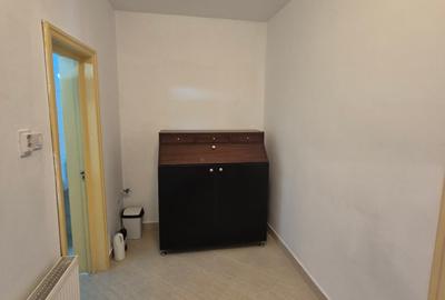 Lacul Tei inchiriere casa singur curte Gheorghe Titeica - 11