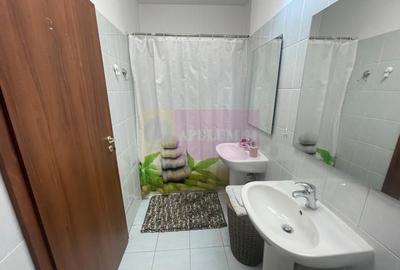 3 camere / loc de parcare / 2 boxe  Rasarit de soare Auchan Titan - 12