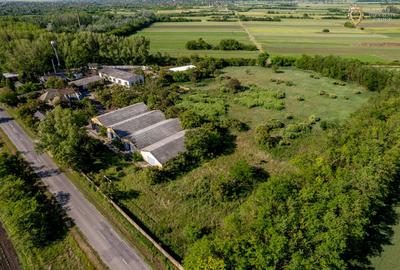 Cladire industriala de vanzare cu potential 3,5 ha in Batania - 23