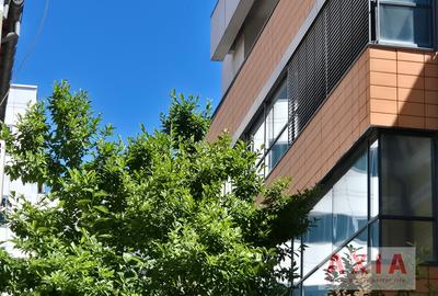 Birou, 774 mp în Universitate