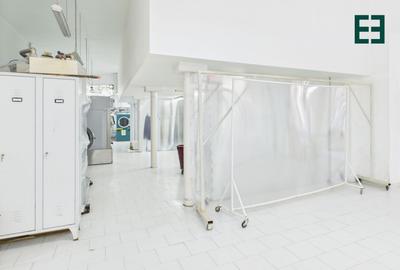 Spațiu comercial / industrial - 9 camere - Zona Elisabetin - Timișoara - 16