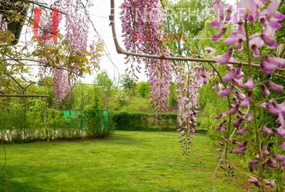 Mansion Luxuriant | Piscina Interioara | Teren tenis | 2500 mp gradina superba - 13