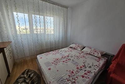 Brancoveanu-Izvorul Oltului, apartament mobilat si utilat modern, bloc reabilita - 12