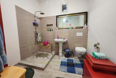 Casa individuala. Mijloace de transport. Toate utilitatile. - 12