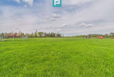 Teren intravilan, 820 mp, Pădure Giroc - 4