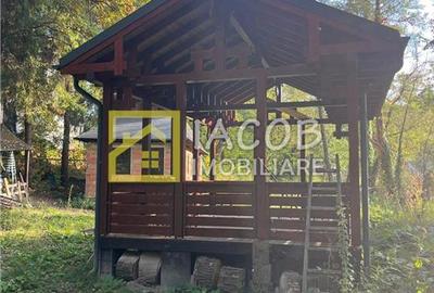 Casa cu teren, str. Slatinei, Luncani - Margineni - Bacau - 17