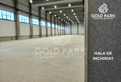 Spatiu Industrial -Zona Autostrazii A3 -10.000 mp Hala Depozitare - 1
