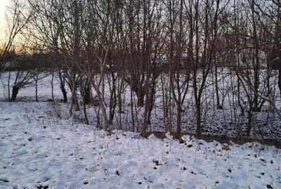 Vând teren (intravilan) , 3600 mp, Brehuiesti - 1