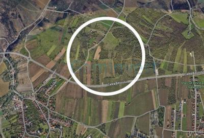 Teren extravilan de 5400 mp, zona Episcopia, Oradea - 2