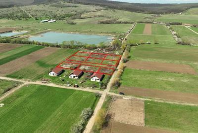 RECO , teren intravilan, Ineu,Bihor - 1