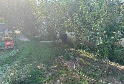 Casa si teren zona teatrul Maior Gheorghe Pastia, Focsani, jud. Vrancea. - 7