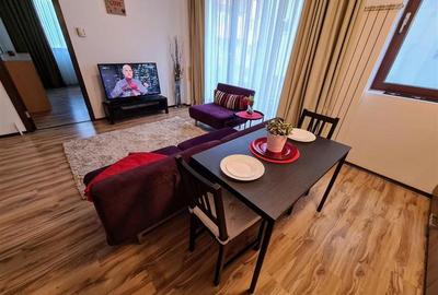 Apartament 2 camere spatios, langa parcul Herastrau - 4