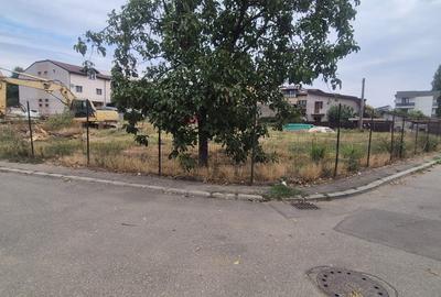 Teren Colentina - Maior Bacila - Canalul Colentina - 3