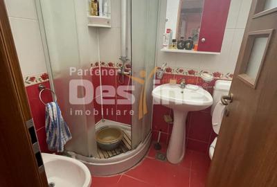 Apartament 3 camere decomandat ,Valea Ialomiței - 9