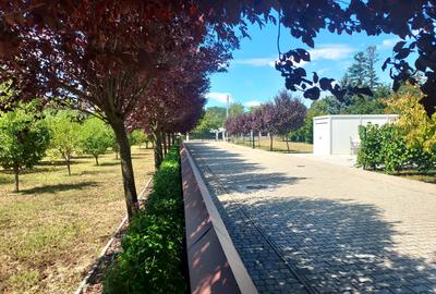 CLUB SNAGOV-VILA SUPERBA, TOTAL PRIVACY,FINISAJE LUX,CURTE 2000  MP,565000 EURO - 8