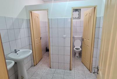 SPATIU COMERCIAL PARTER 2 CAMERE 130 MPU | NEPPENDORF TURNISOR - 9
