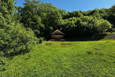 Teren intravilan de vanzare 1439 mp Luncani strada Slatinei - Bacau - 8