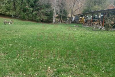 CASĂ DE VACANȚĂ 5 CAMERE,POINANA MĂRULUI, JUD.CARAȘ-SEVERIN - 5