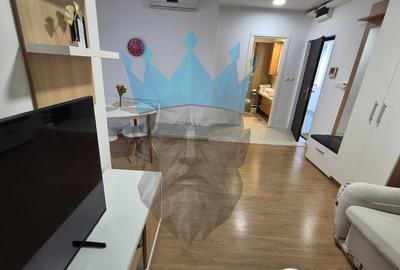 Apartament 2 Camere Calea Calarasilor Bucuresti - 4