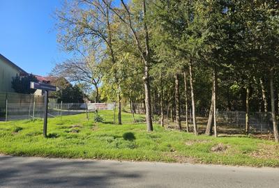 Teren Construcții intravilan de 500 mp, în Central