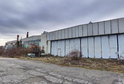 Hala industriala depozitare/logistica/productie in Ghimbav, 4900mp - 9