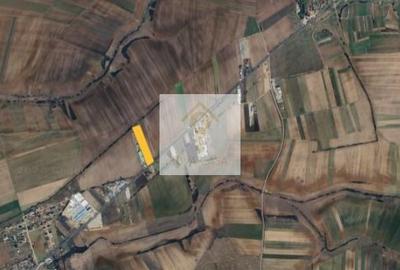 TEREN INTRAVILAN 7.959 MP – DN79 NOJORID, BIHOR - 3