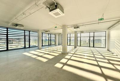 Spații de birouri | Mosnita Veche | Lidl - 1