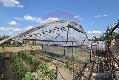 Casă cu gradina si solarii de legume - 17