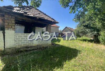 Casa 4 Camere, Parter, Runcu - Baltisoara - 18