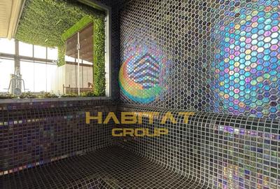 Penthouse in zona parcului Tineretului | Oraselul Copiilor 335mp - 25