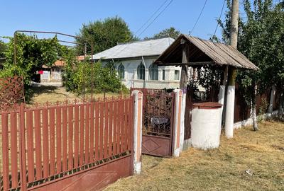 Vand casa batraneasca din caramida acoperita cu tabla mobilata si utilata - 11