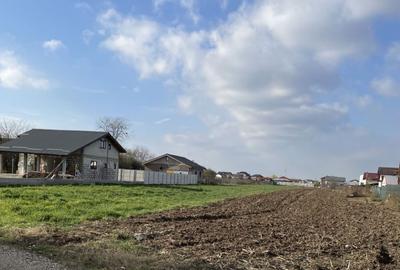 Teren 1800mp Intrarea Nefliu Magurele - 1