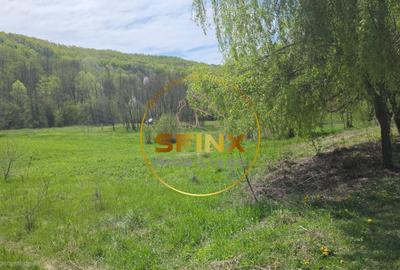 Teren Construcții intravilan de 1000 mp, în Dobrești