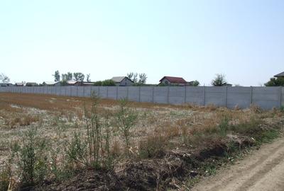 Domnesti-Teghes, teren 9.817 mp strada Pinului - 2