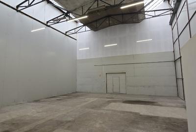 Hala 300 mp in Parcul Industrial Roman pt. productie, depozitare, servicii - 5