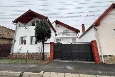 Casa cu POTENȚIAL pentru afaceri, DEPOZIT 50mp - Turnisor - 1