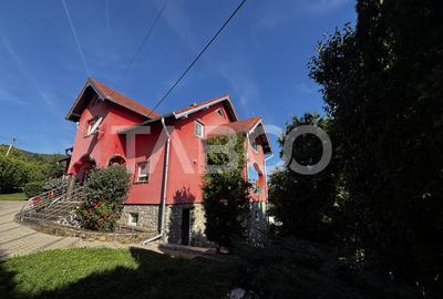 Casă individuală cu 6 camere în Săliște